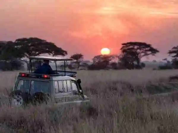 visitors in a night game drive